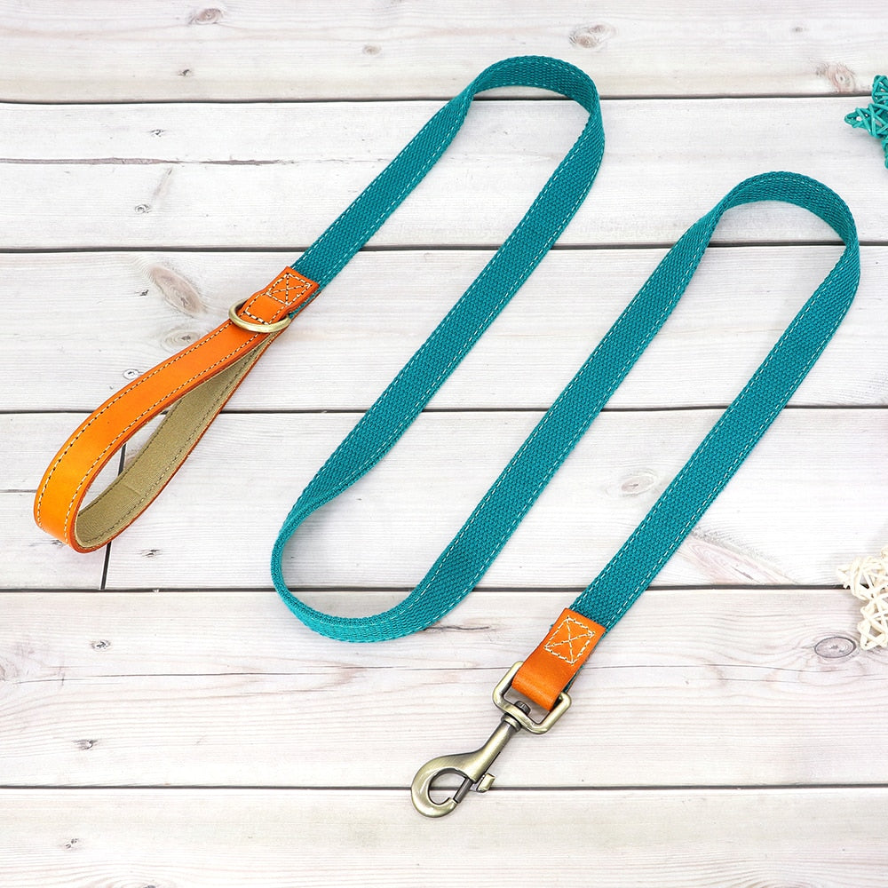 Custom Dog Collar Leash Set GROOMY