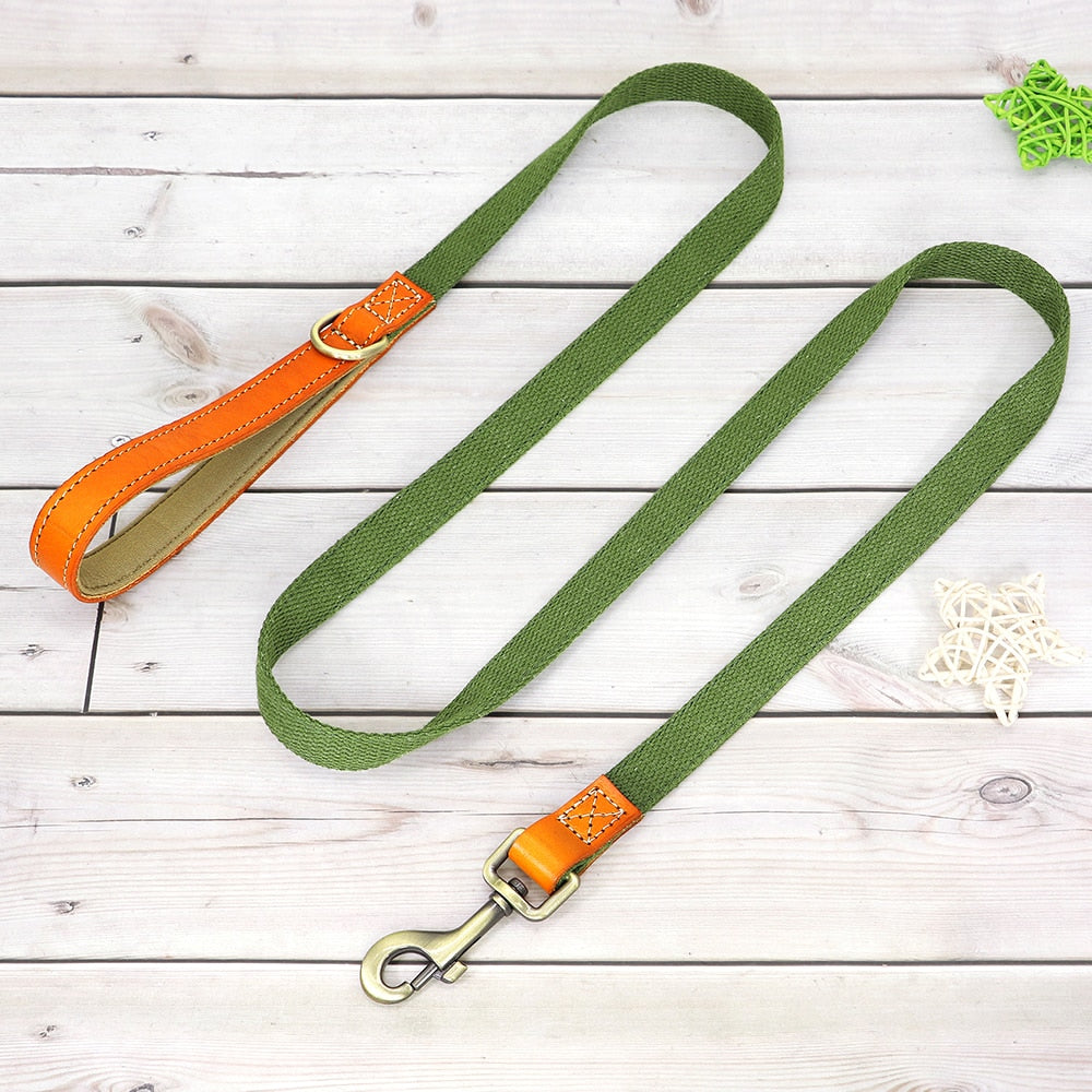 Custom Dog Collar Leash Set GROOMY
