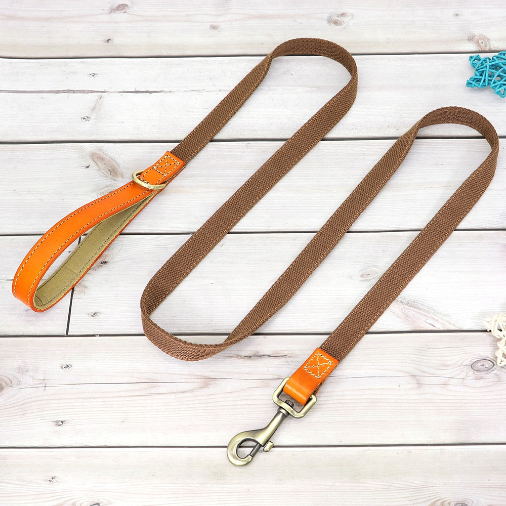 Custom Dog Collar Leash Set GROOMY