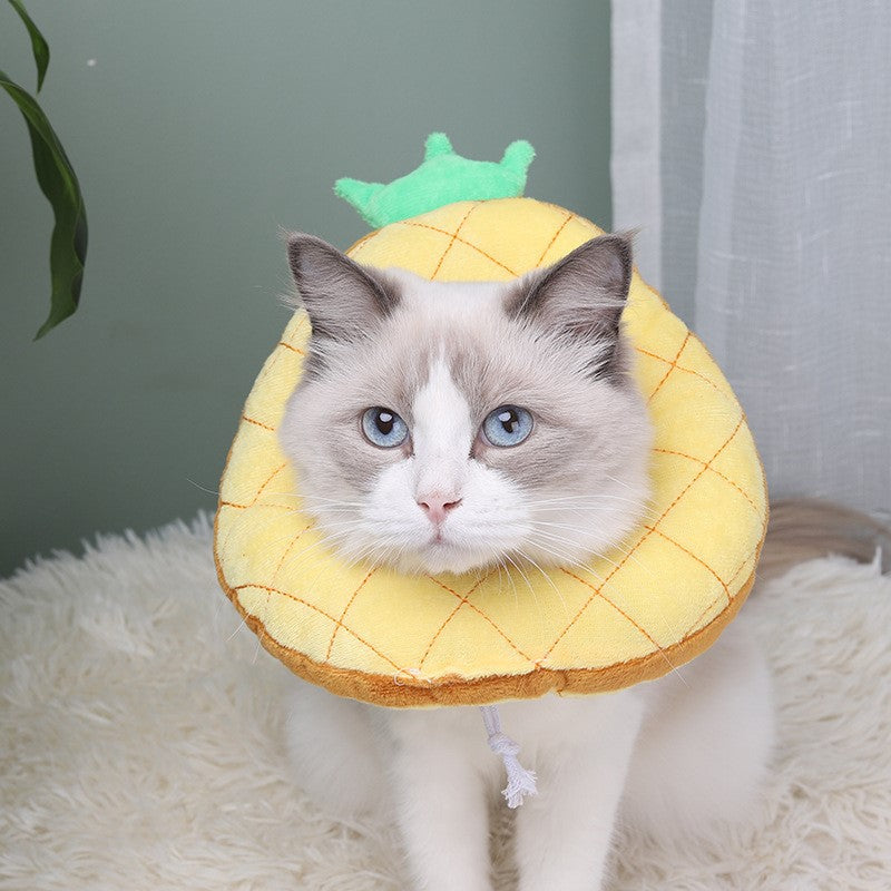 Cat Collar Pineapple Bagel Pet Headdress Gift For Pet