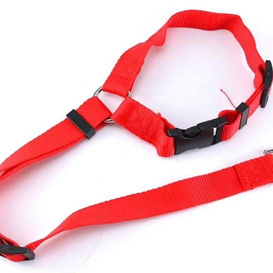 Adjustable Pet Harness Seat Belt Pet Supplies Red - DailySale