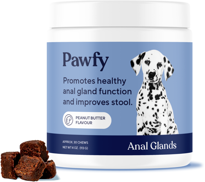 Anal Glands Special
