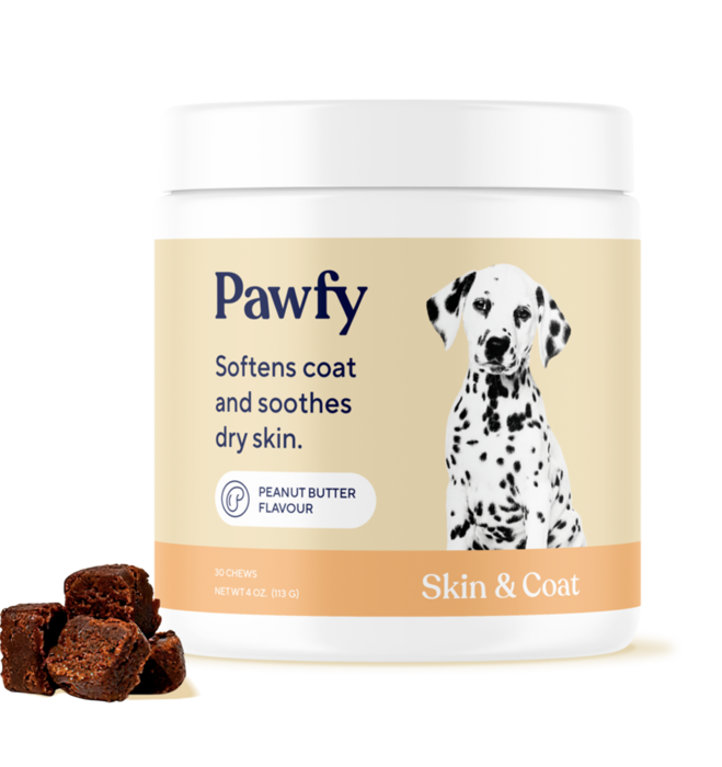 Skin & Coat Special