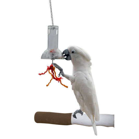 Caitec Foraging Capsule