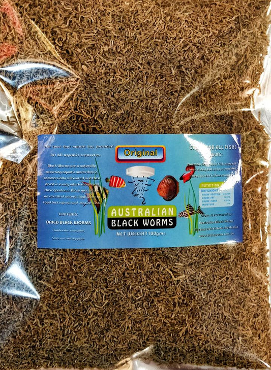 Australian Black Worms Loose