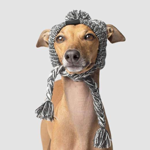 Canada Pooch - Polar Pom Pom Hat Charcoal