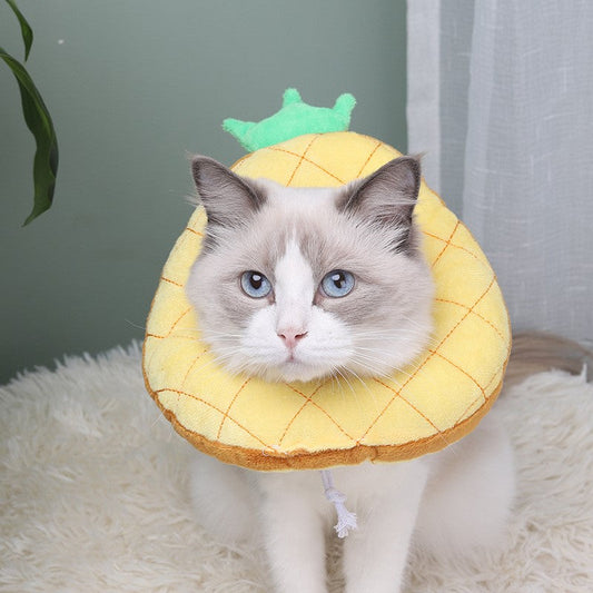 Cat Collar Pineapple Bagel Pet Headdress Gift For Pet