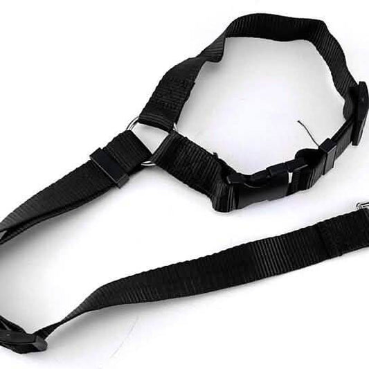 Adjustable Pet Harness Seat Belt Pet Supplies Black - DailySale