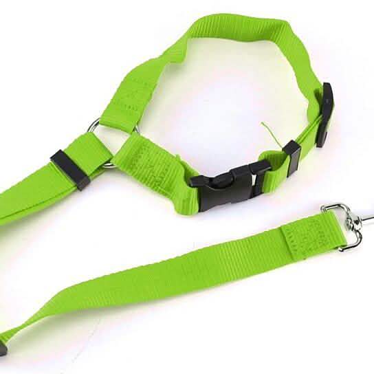 Adjustable Pet Harness Seat Belt Pet Supplies Green - DailySale