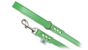 Buddy Belt - Leash