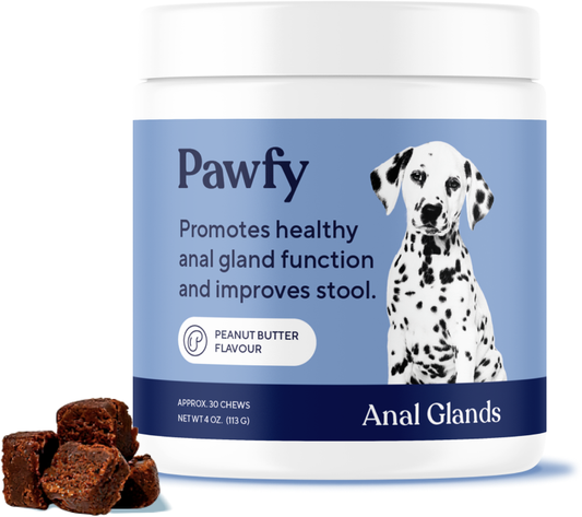 Anal Glands Special