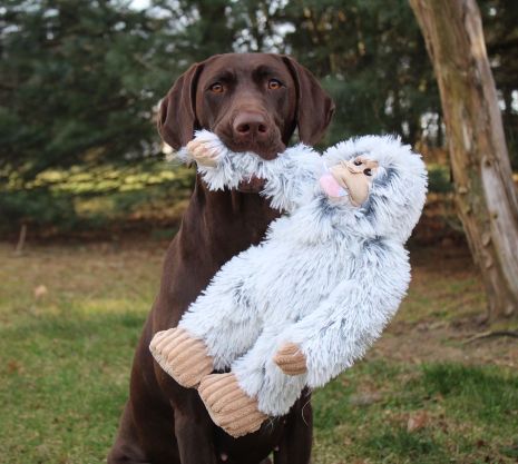 Tall Tails Plush Yeti