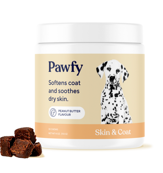 Skin & Coat Special