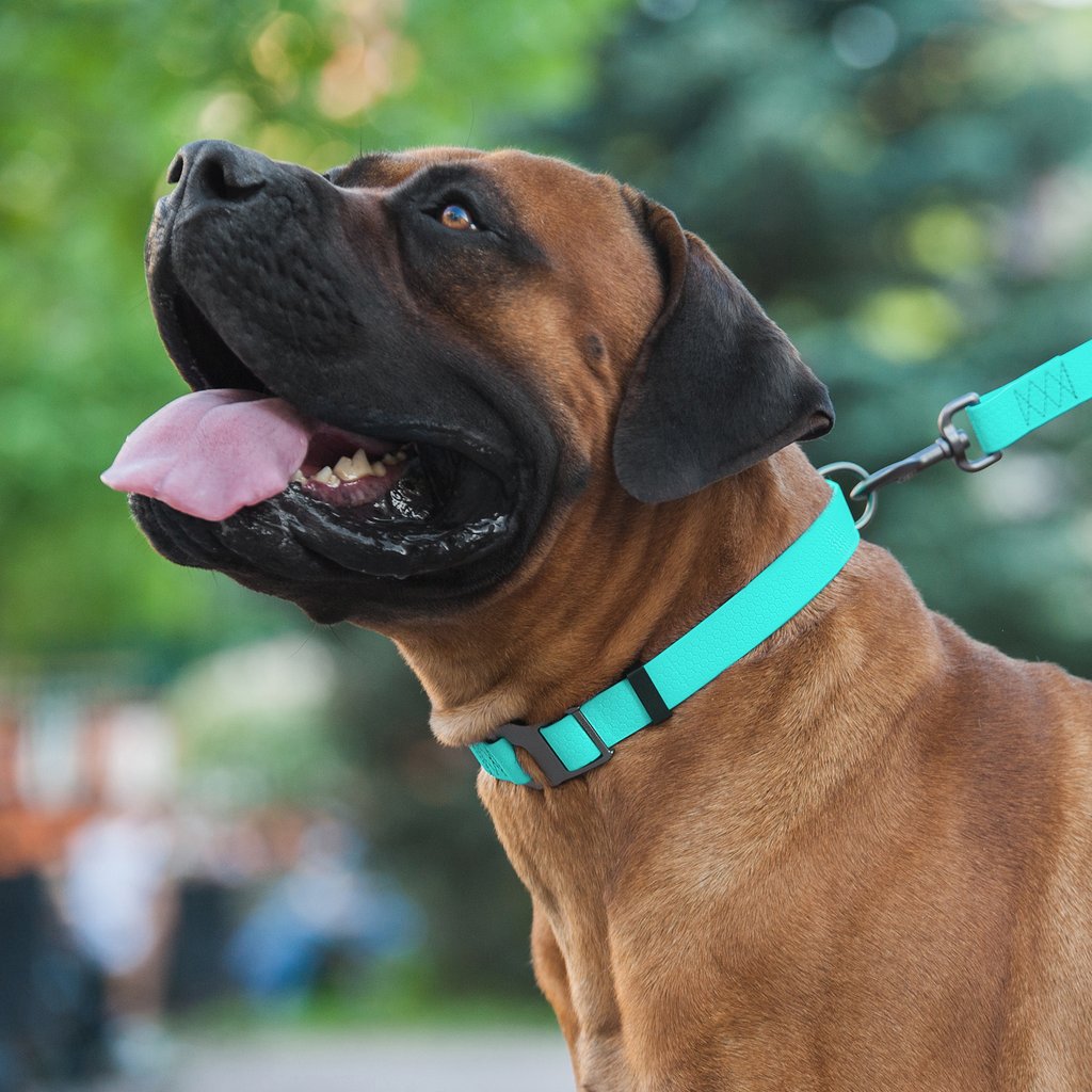 Wau Dog Waterproof Collars with Metal Buckle Clip