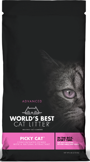 World's Best Cat Litter